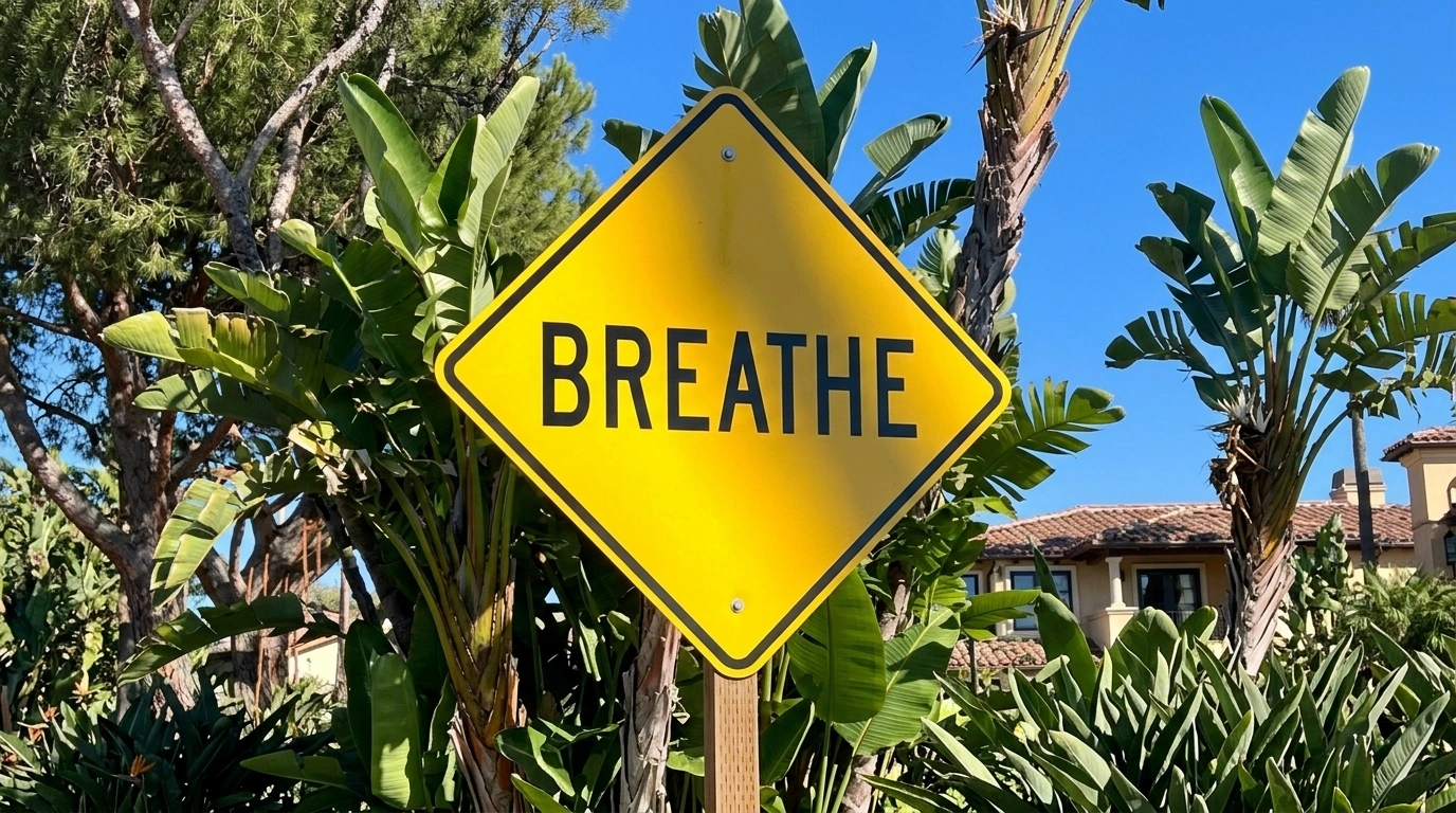 Awakening Touch – Coach – Psychedelic Breath®